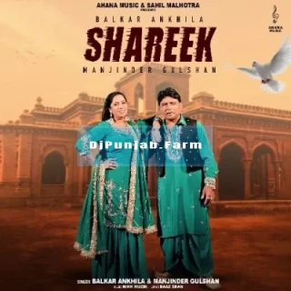 Shareek mp3 download