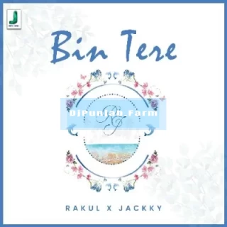 Bin Tere mp3 download