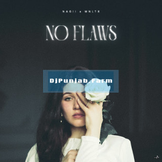 No Flaws mp3 download