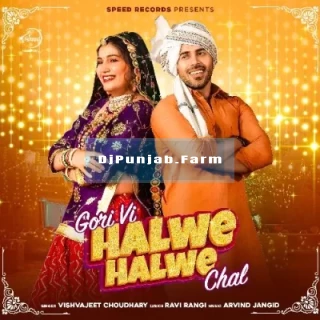 Gori Vi Halwe Halwe Chal mp3 download