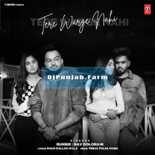 Tere Warge Nahi mp3 download