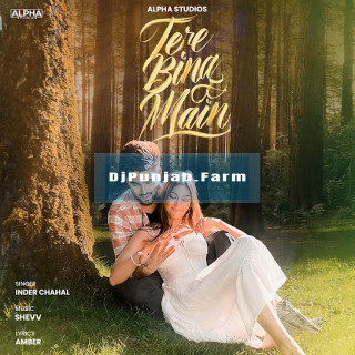 Tere Bina Main mp3 download