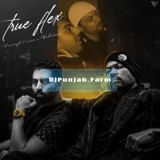 True Flex ft Bohemia mp3 download