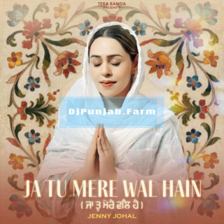 Ja Tu Mere Wal Hain mp3 download