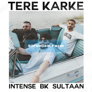 Tere Karke mp3 download