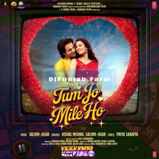 Tum Jo Mile Ho mp3 download