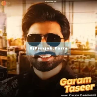 Garam Taseer mp3 download