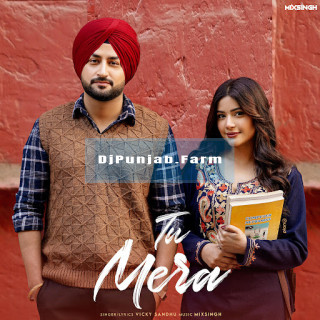 Tu Mera mp3 download