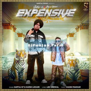 Expensive mp3 download