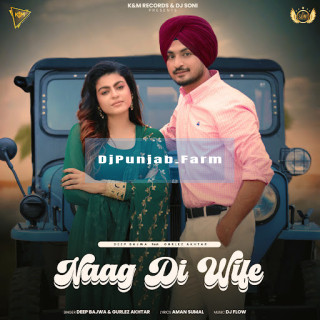 Naag Di Wife mp3 download