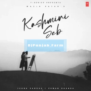 Kashmiri Seb mp3 download
