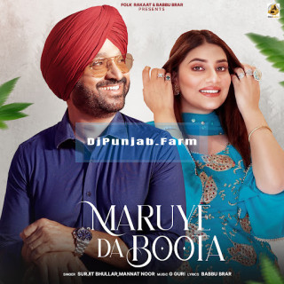 Maruye Da Boota mp3 download