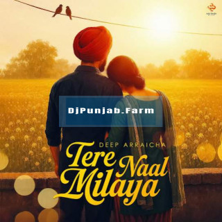 Tere Naal Milaya mp3 download