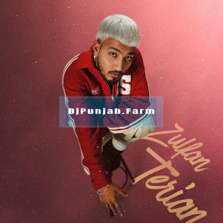 Zulfan Terian mp3 download