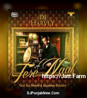 Tere Naal Dj Harvey mp3 download