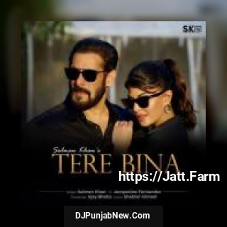 Tere Bina Salman Khan mp3 download