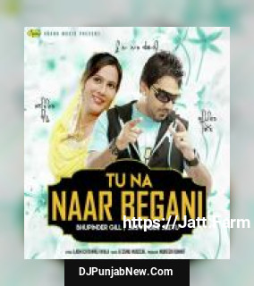 Tu Na Naar Begani Bhupinder Gill, Jaswinder Jeetu mp3 download