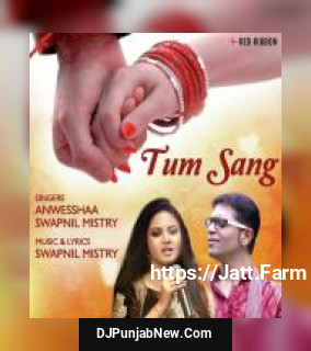 Tum Sang Anweshaa, Swapnil Mistry mp3 download