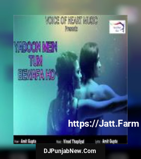 Yadoon Mein Tum Bewafa Ho Amit Gupta mp3 download